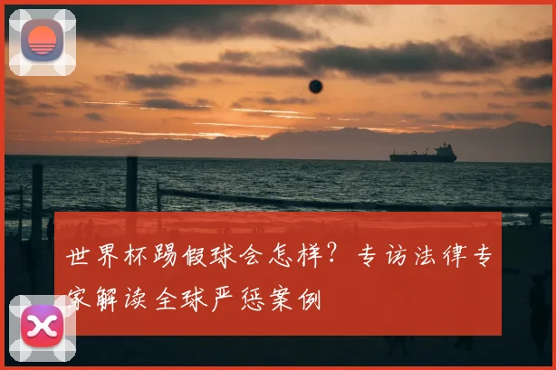 世界杯踢假球会怎样？专访法律专家解读全球严惩案例