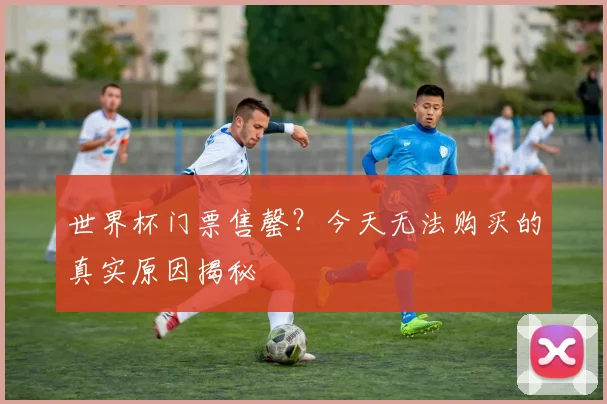 世界杯门票售罄?今天无法购买的真实原因揭秘
