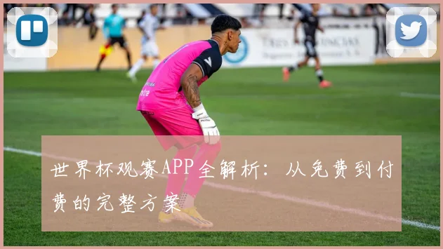 世界杯观赛APP全解析：从免费到付费的完整方案