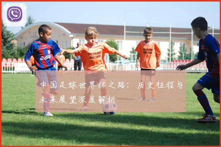 中国足球世界杯之路：历史征程与未来展望深度解析
