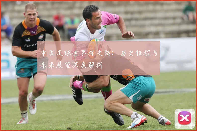 中国足球世界杯之路：历史征程与未来展望深度解析